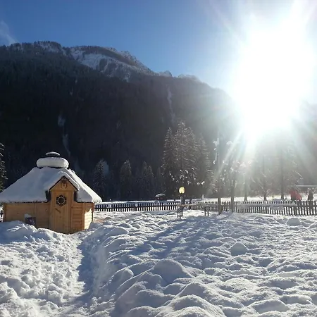 Hotel Stella Alpina-2