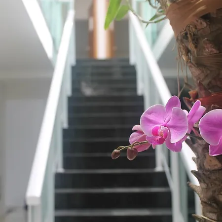Pousada Orquideas de Maria-3
