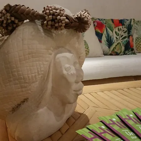 Fare Suisse Tahiti - Guesthouse-3
