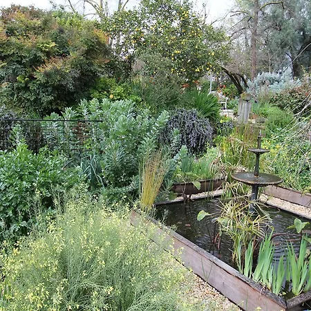 Palm House-3