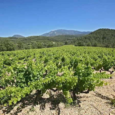 Auberge Les Olivades-2