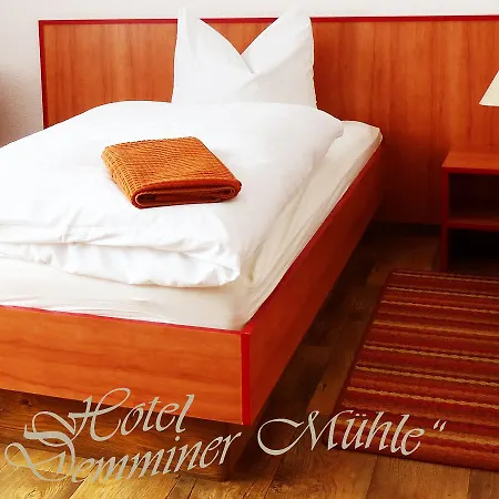 Hotel Demminer Mühle-3