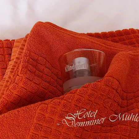 Hotel Demminer Mühle-2
