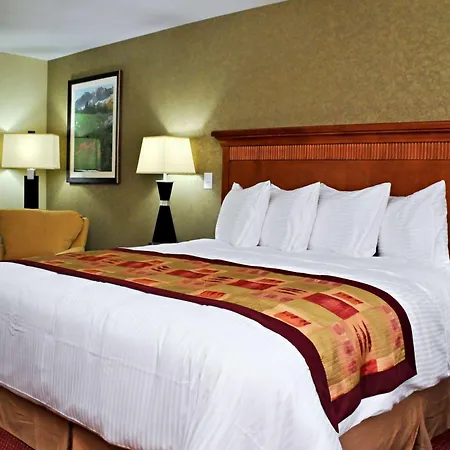 Best Western Plus Layton Park Hotel-3