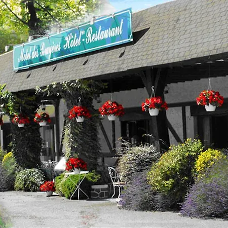 Motel des Bruyères-3