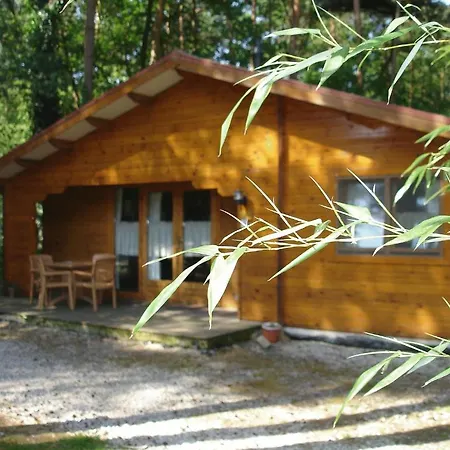 Bospark De Brenkberg-3