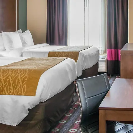 Comfort Inn & Suites San Marcos Near Outlet Mall-3