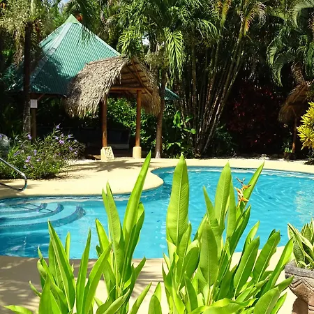 Indigo Yoga Surf Resort-3