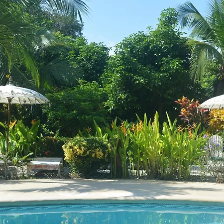 Indigo Yoga Surf Resort-2