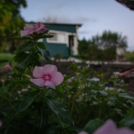 God'S Peace Of Maui-2