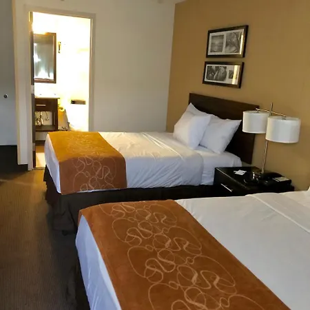 The Vue Inn Brooklyn-3