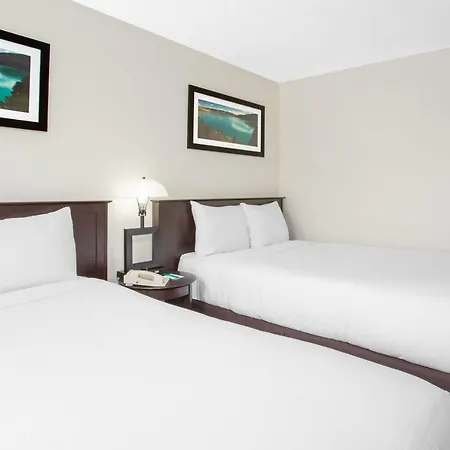 Barriere Motor Inn-Bmi-3