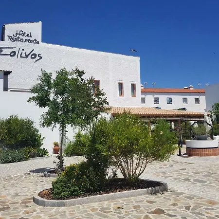 Hotel Entreolivos-2