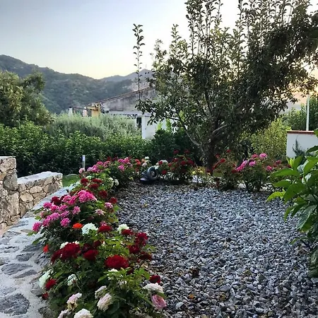 La Pergola-2