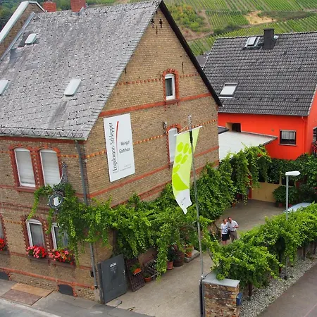 Weingut&Bioland Gästehaus Engelmann-Schlepper-2