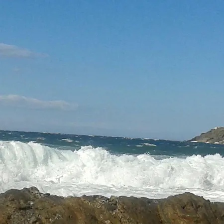 Fonda Felip-2