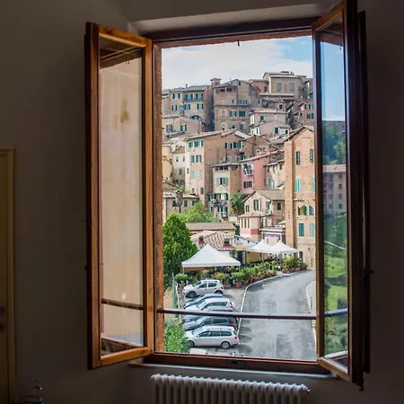 Salicotto 56-3