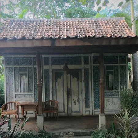 Sapulidi Cafe, Gallery & Resort-2