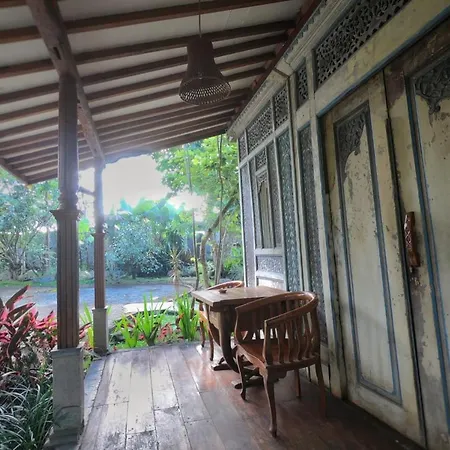 Sapulidi Cafe, Gallery & Resort-3