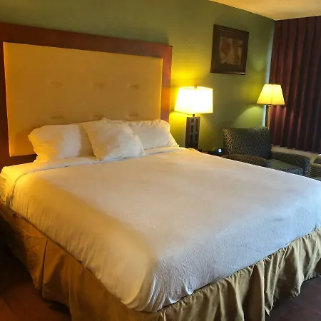 Express Airport Inn-3
