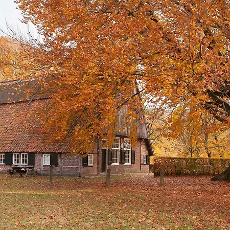 Bed & Breakfast Hoeve Springendal-2