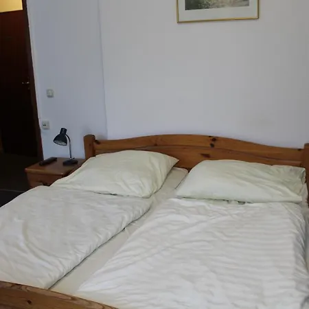 Pension Locarno-2