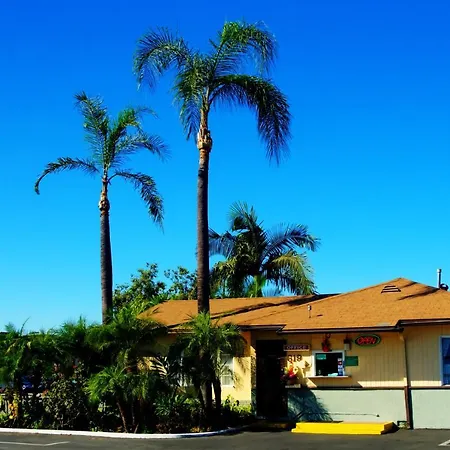 Palm Tropics Motel-2