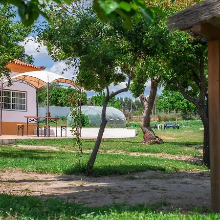 Quinta Da Saudade-2