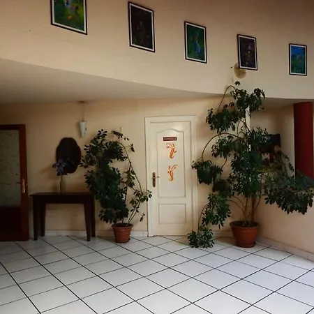 Hotel Viar-2