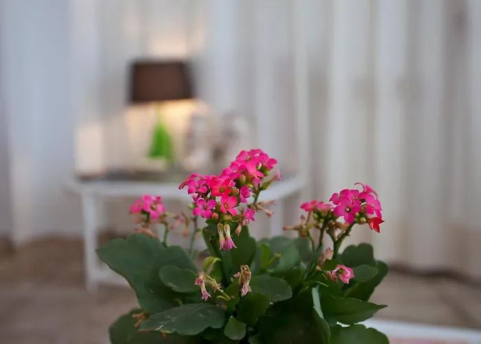 Galaxia Boutique Hotel Can Picafort 