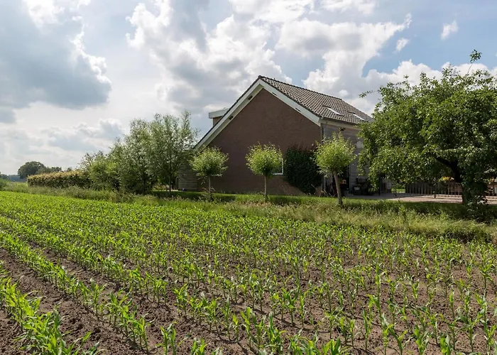 De Nieuwe Warande