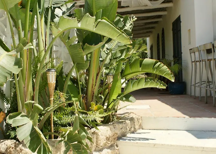 Finca Mil Estrellas