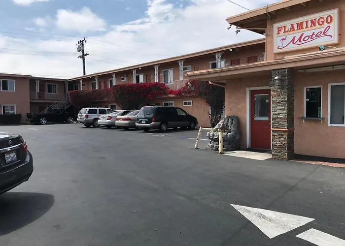 Flamingo Oxnard