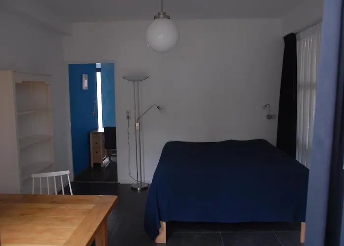 Het blauwe huis