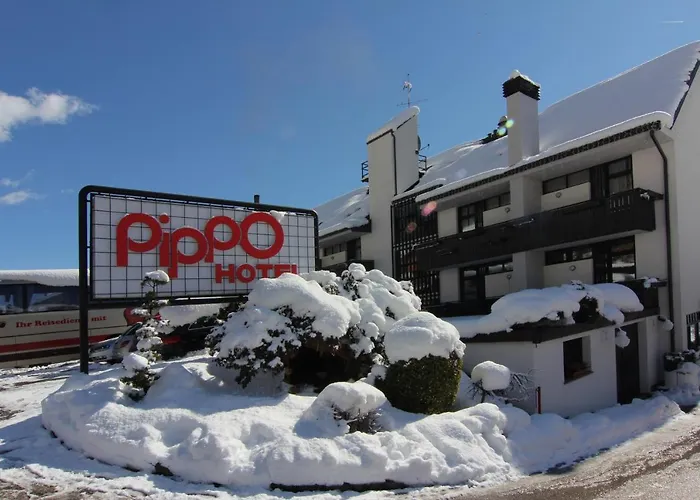 Pippo Hotel