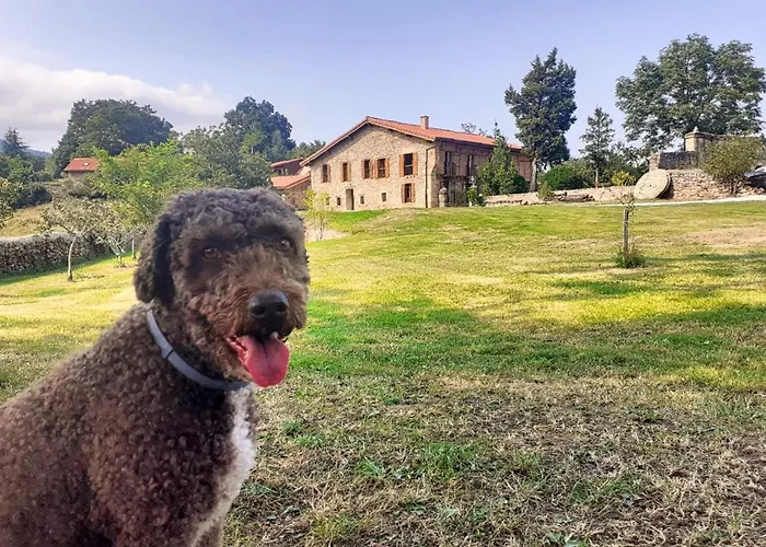 La Posada Del Tenor
