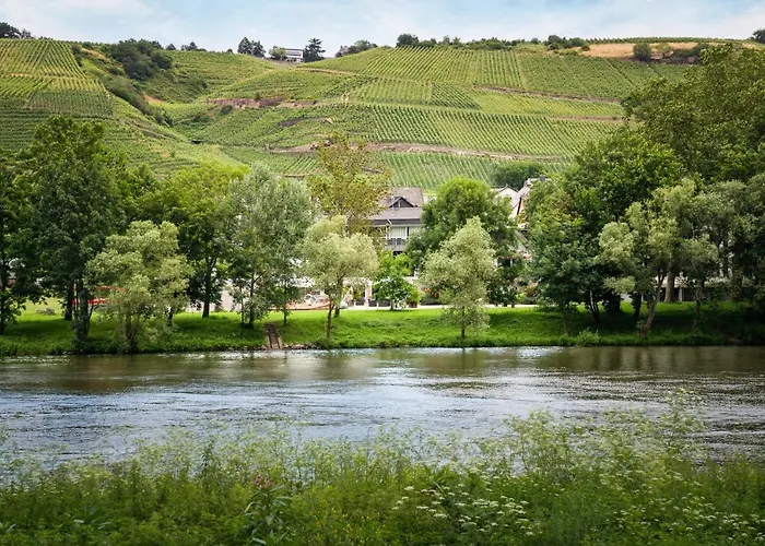 Hotel Moselblick