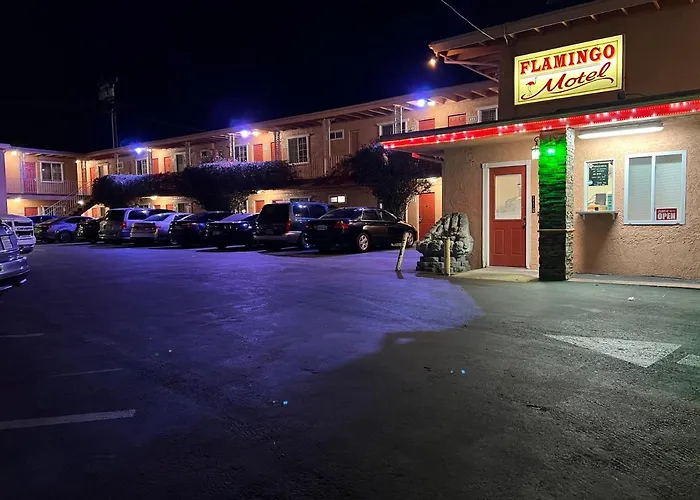 Flamingo Oxnard