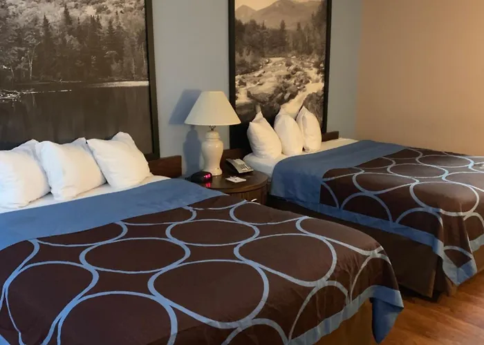 Super 8 By Wyndham Kingston Hotel