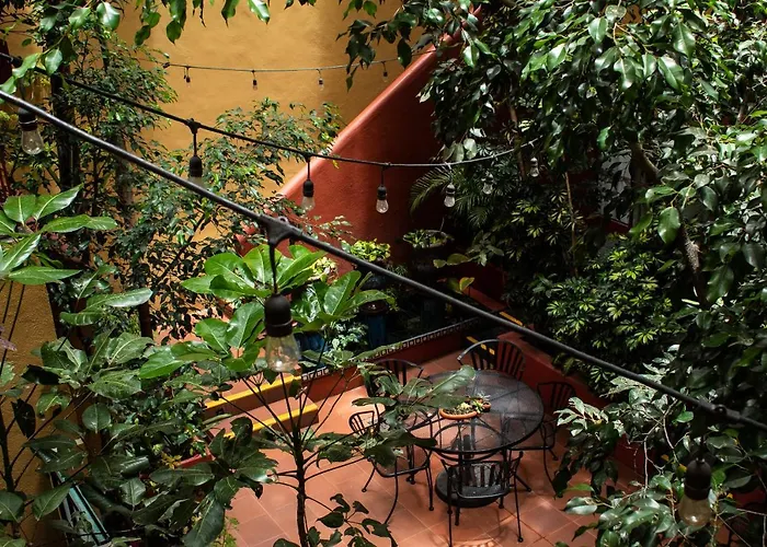 The Red Tree House