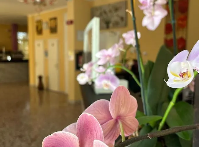 Hotel Astor Modena