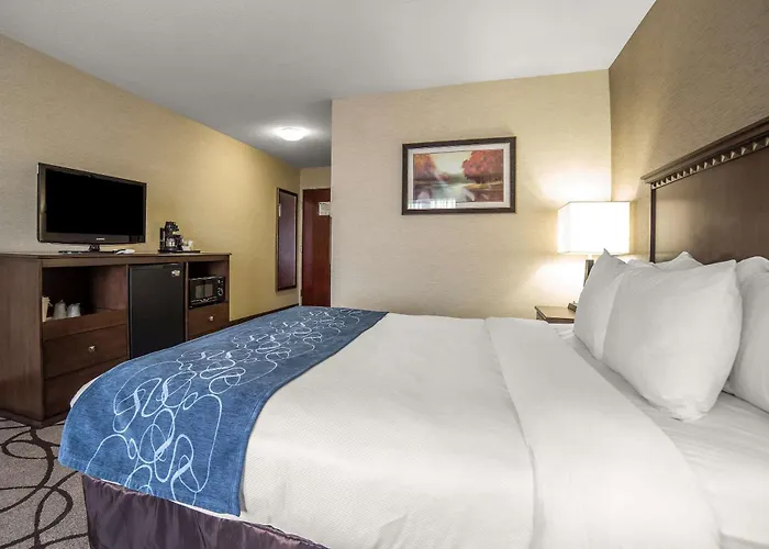 Comfort Suites Airport