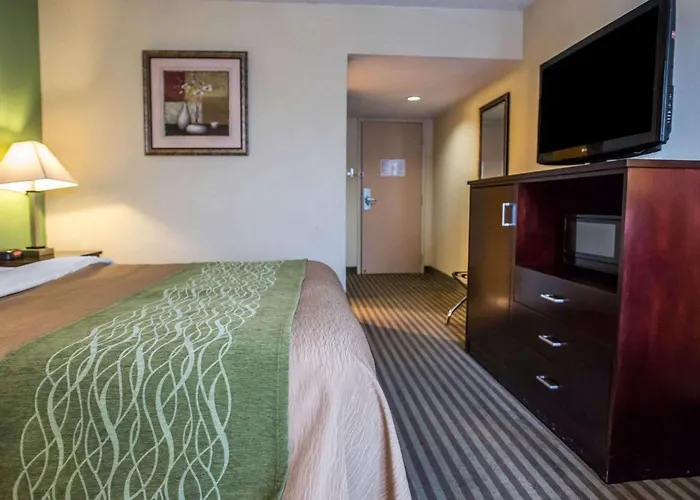 Quality Inn Mill Hall - Lamar