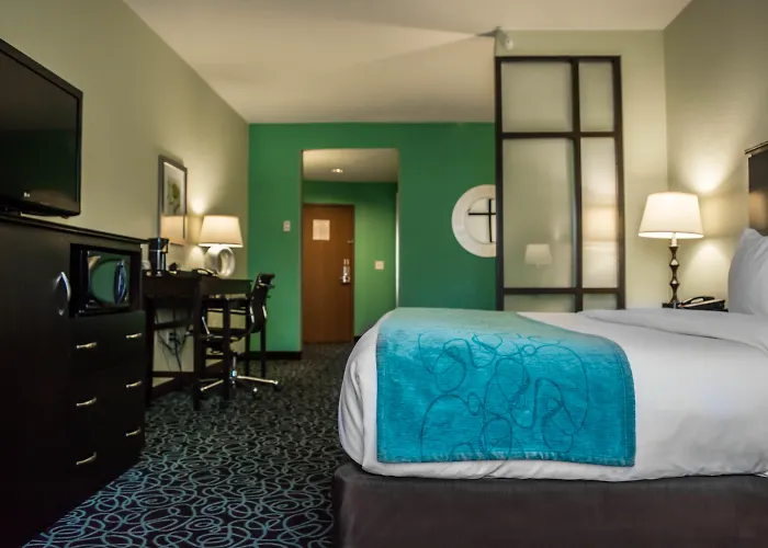 Hampton Inn By Hilton Tampa Fairgrounds Casino Mango