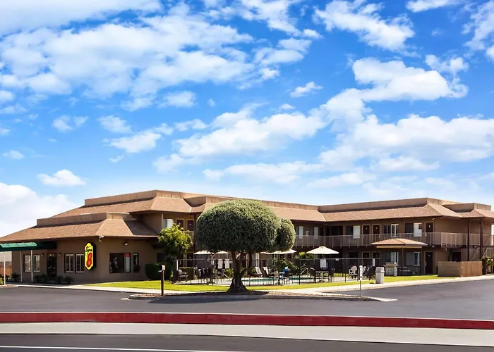 Super 8 By Wyndham Lindsay Olive Tree