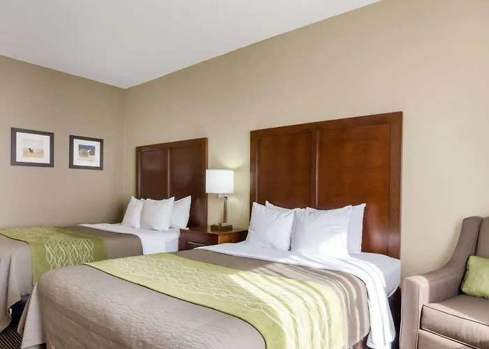 Comfort Inn Garden City