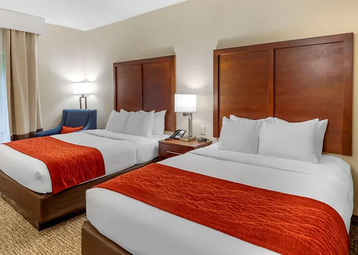 Comfort Inn & Suites Riverstone Area