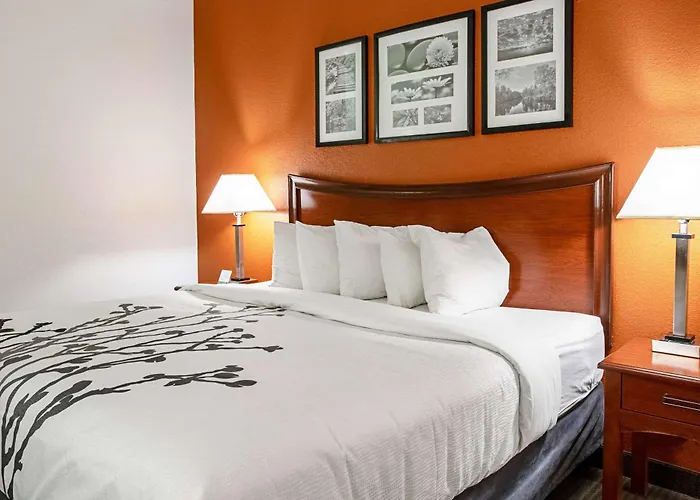 Sleep Inn & Suites Hobbs