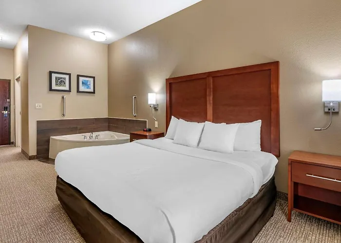 Comfort Inn & Suites St Louis-O'Fallon
