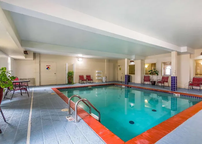 Quality Inn & Suites Chesterfield Village Springfield